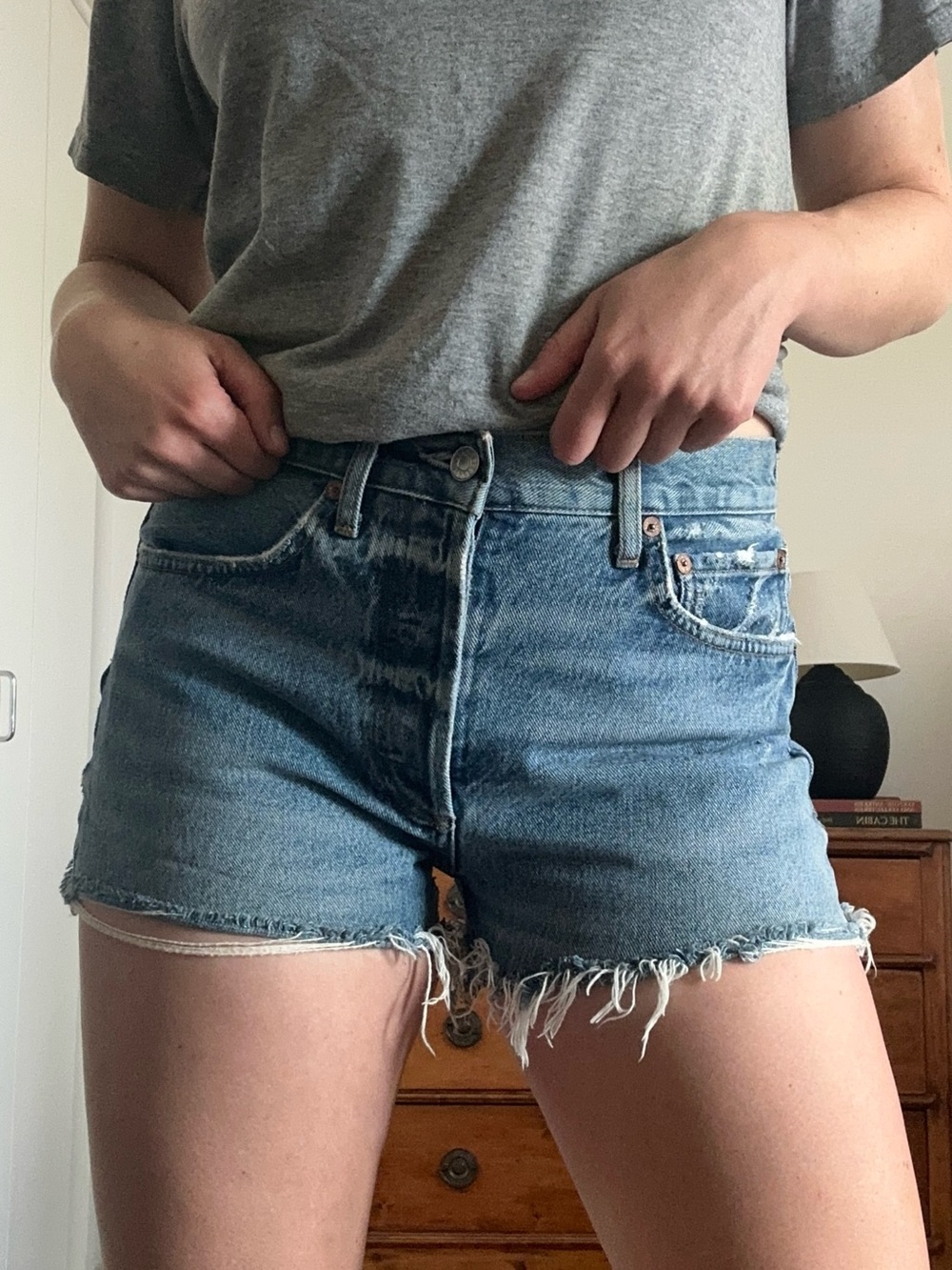 Agolde Parker Vintage Cutoff